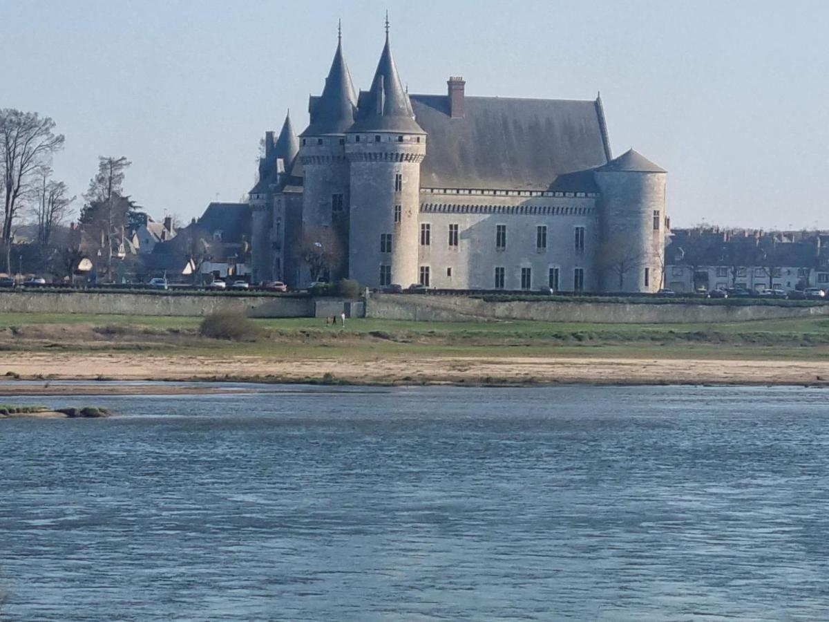 Logis Hotel Sully Le Chateau Saint-Pere-sur-Loire Exterior foto